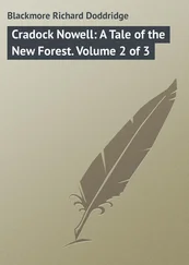 Richard Blackmore - Cradock Nowell - A Tale of the New Forest. Volume 2 of 3