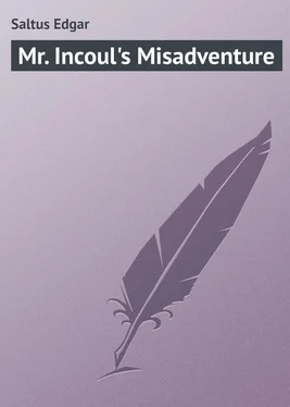 Edgar Saltus Mr. Incoul's Misadventure обложка книги