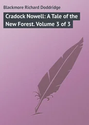 Richard Blackmore - Cradock Nowell - A Tale of the New Forest. Volume 3 of 3