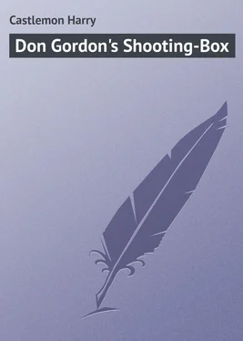 Harry Castlemon Don Gordon's Shooting-Box обложка книги