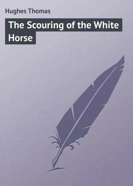 Thomas Hughes The Scouring of the White Horse обложка книги