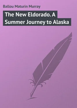 Maturin Ballou The New Eldorado. A Summer Journey to Alaska обложка книги