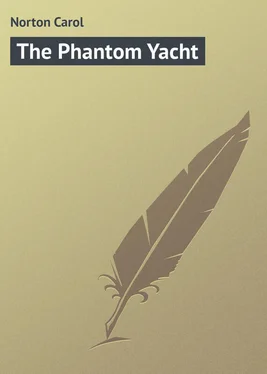 Carol Norton The Phantom Yacht обложка книги