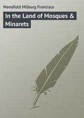 Milburg Mansfield - In the Land of Mosques & Minarets