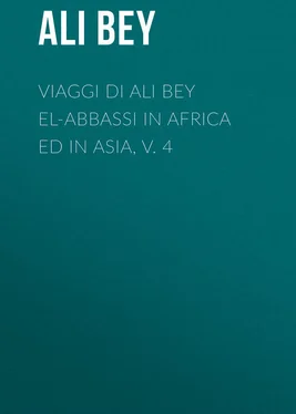 Ali Bey Viaggi di Ali Bey el-Abbassi in Africa ed in Asia, v. 4 обложка книги