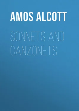 Amos Alcott Sonnets and Canzonets обложка книги