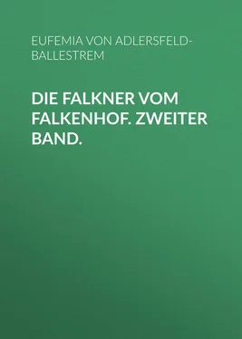 Eufemia von Adlersfeld-Ballestrem Die Falkner vom Falkenhof. Zweiter Band. обложка книги