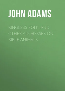 John Adams Kingless Folk, and other Addresses on Bible Animals обложка книги