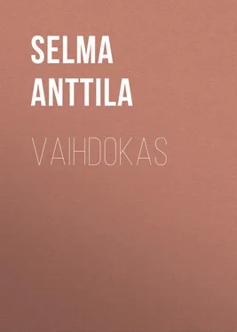 Selma Anttila Vaihdokas обложка книги