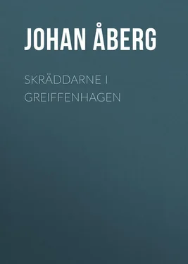 Johan Åberg Skräddarne i Greiffenhagen обложка книги