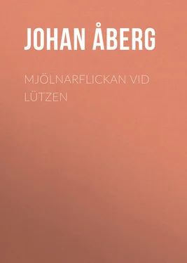 Johan Åberg Mjölnarflickan vid Lützen обложка книги