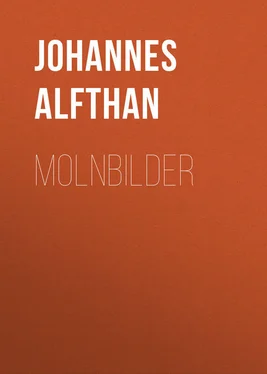 Johannes Alfthan Molnbilder обложка книги