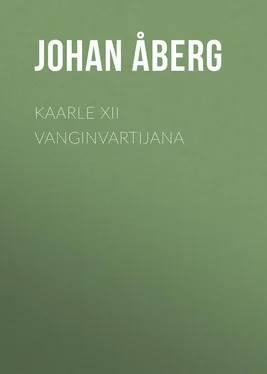Johan Åberg Kaarle XII vanginvartijana обложка книги
