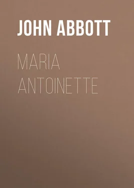 John Abbott Maria Antoinette обложка книги