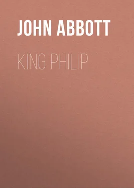 John Abbott King Philip обложка книги