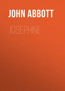 John Abbott Josephine обложка книги