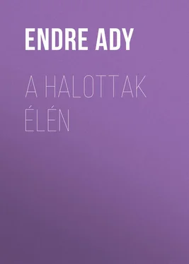 Endre Ady A halottak élén обложка книги