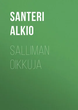 Santeri Alkio Salliman oikkuja обложка книги