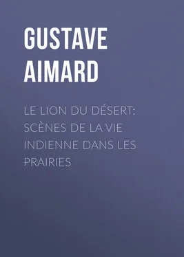 Gustave Aimard Le lion du désert: Scènes de la vie indienne dans les prairies обложка книги