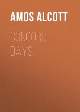 Amos Alcott Concord Days обложка книги