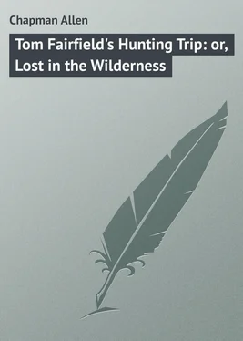 Allen Chapman Tom Fairfield's Hunting Trip: or, Lost in the Wilderness обложка книги