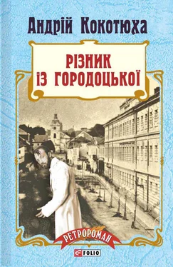 Андрій Кокотюха Різник із Городоцької обложка книги