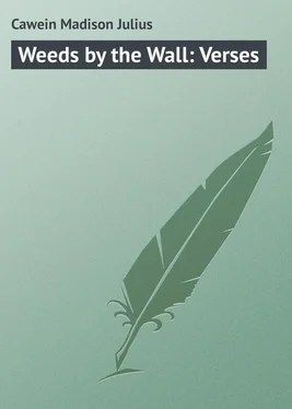 Madison Cawein Weeds by the Wall: Verses обложка книги