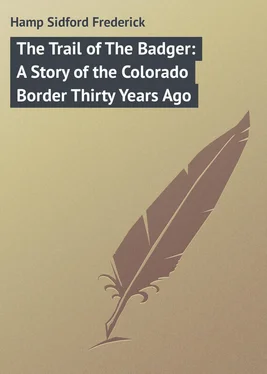 Sidford Hamp The Trail of The Badger: A Story of the Colorado Border Thirty Years Ago обложка книги