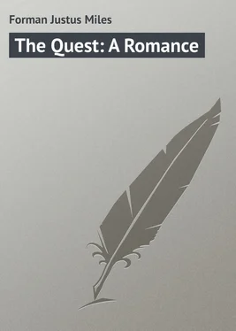 Justus Forman The Quest: A Romance обложка книги