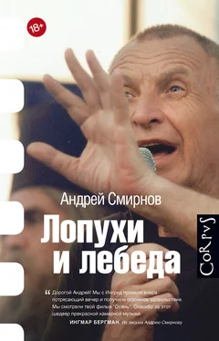 Андрей Смирнов Лопухи и лебеда обложка книги