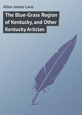 James Allen The Blue-Grass Region of Kentucky, and Other Kentucky Articles