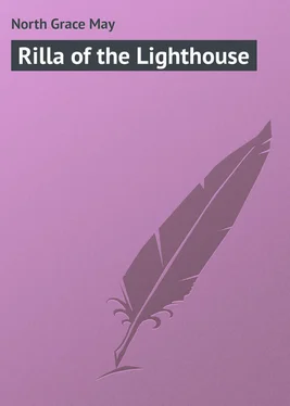 Grace North Rilla of the Lighthouse обложка книги