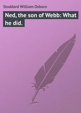 William Stoddard Ned, the son of Webb: What he did. обложка книги