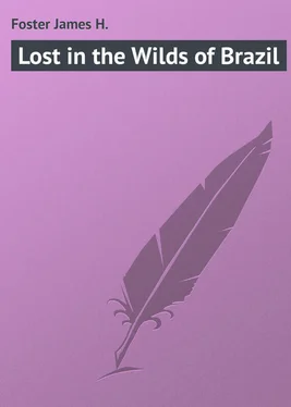 James Foster Lost in the Wilds of Brazil обложка книги