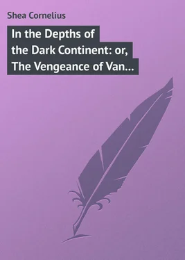 Cornelius Shea In the Depths of the Dark Continent: or, The Vengeance of Van Vincent обложка книги