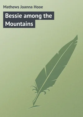 Joanna Mathews Bessie among the Mountains обложка книги