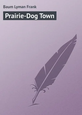 Lyman Baum Prairie-Dog Town обложка книги