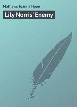 Joanna Mathews Lily Norris' Enemy обложка книги