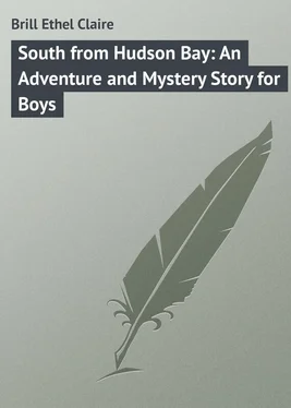 Ethel Brill South from Hudson Bay: An Adventure and Mystery Story for Boys обложка книги