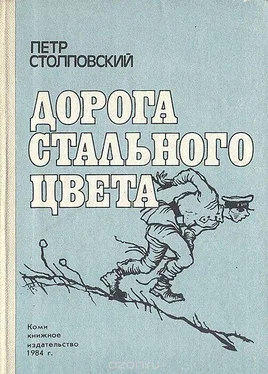 Пётр Столповский Дорога стального цвета обложка книги