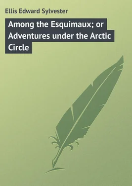 Edward Ellis Among the Esquimaux; or Adventures under the Arctic Circle обложка книги