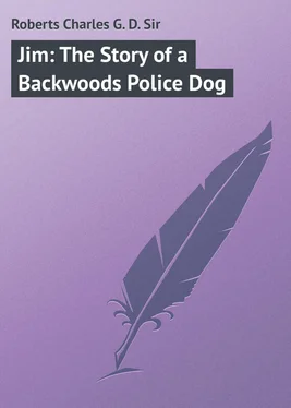 Charles Roberts Jim: The Story of a Backwoods Police Dog обложка книги