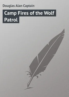Alan Douglas Camp Fires of the Wolf Patrol обложка книги