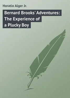 Horatio Alger Bernard Brooks' Adventures: The Experience of a Plucky Boy обложка книги