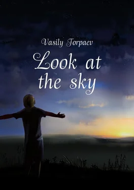 Vasily Torpaev Look at the sky обложка книги