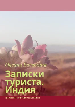 Оксана Васюнина Записки туриста. Индия. Дневник путешественника обложка книги