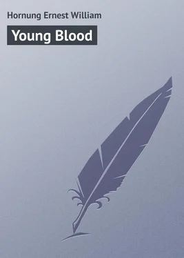 Ernest Hornung Young Blood обложка книги