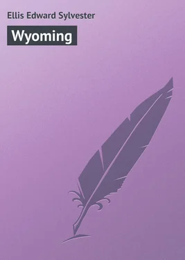 Edward Ellis Wyoming обложка книги