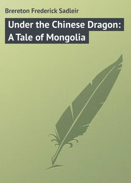 Frederick Brereton Under the Chinese Dragon: A Tale of Mongolia обложка книги