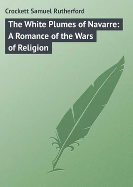 Samuel Crockett The White Plumes of Navarre: A Romance of the Wars of Religion обложка книги